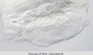 SO SÁNH SILICA vs TAICAL